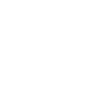 Zimmer Rauschecker